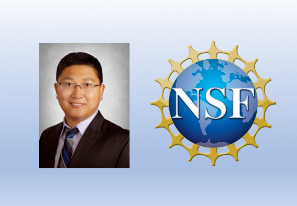 nsf